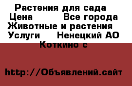 Растения для сада › Цена ­ 200 - Все города Животные и растения » Услуги   . Ненецкий АО,Коткино с.